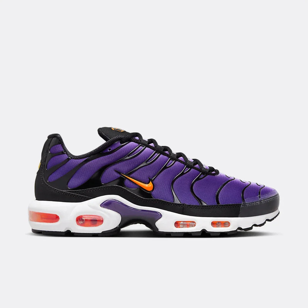 TN plus Purple